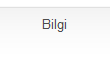 Bilgi